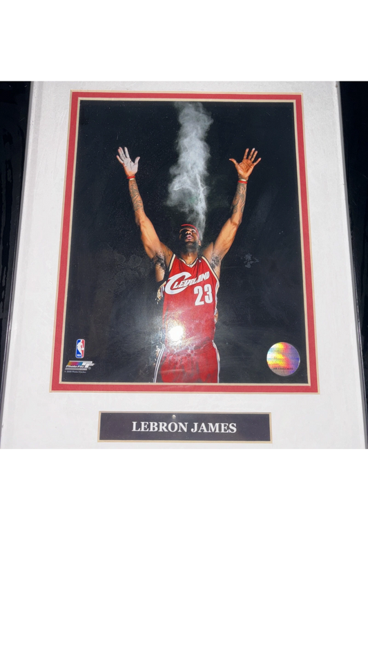 2009 NBA Photo File.Inc NB 124423074 Lebron James Portrait