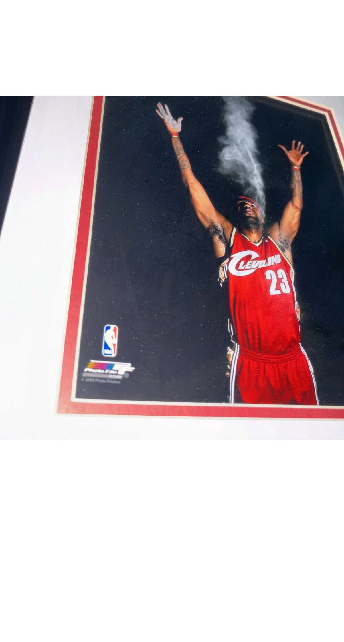 2009 NBA Photo File.Inc NB 124423074 Lebron James Portrait