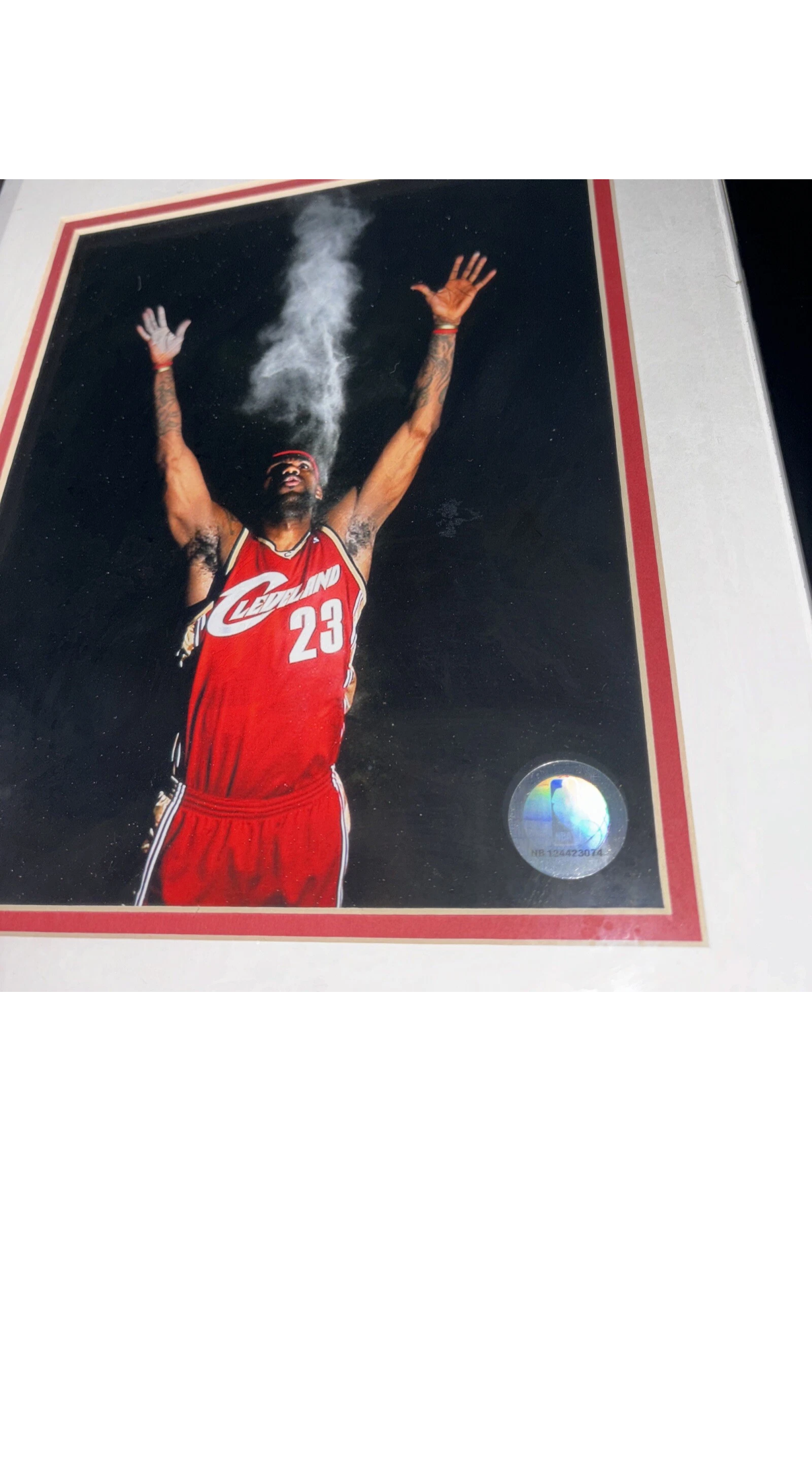 2009 NBA Photo File.Inc NB 124423074 Lebron James Portrait
