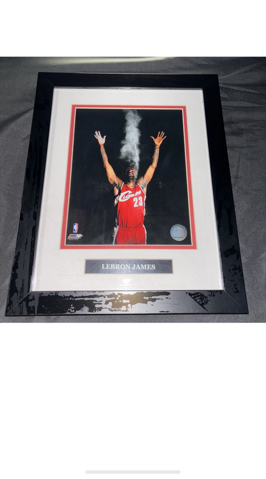 2009 NBA Photo File.Inc NB 124423074 Lebron James Portrait
